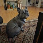 Debbie Fitzpatrick Downey - @velveteenoccasions - Instagram
