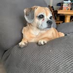 Debbie Fleischer Pierce - @fleischerpierce - Instagram