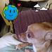 Deborah Fleischer - Facebook