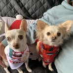 Debbie Flowers - Facebook