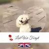 Debbie Foreman - @debbie.foreman1 - TikTok