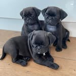 Deborah Margaret Frampton - @debbie.frampton - Instagram