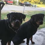 Debbie Fulton - @debbiefulton453 - Instagram