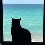Debbie Fulton Hetherington - @debbiefultonhetherington - Instagram