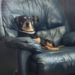Debbie Fultz-sheward - @fultzsheward - Instagram