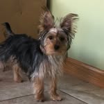 Debbie Fultz Stinnett - @dstinnett10 - Instagram