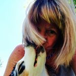 Debbie Fuqua - @dlynnfuqua - Instagram