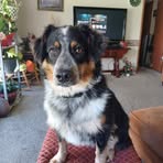 Debbie Gaither - Facebook