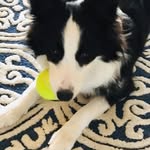 Debbie Christ Galloway - @debbiegalloway823 - Instagram