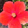 Deborah Marie - @debbiegalloway57 - TikTok