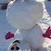 Debbie Garrison - Facebook