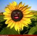 Debbie Garza - Facebook