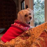 Debbie Gasper Guarino - @debbie.g.guarino - Instagram