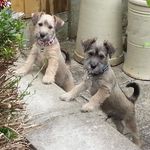 Debbie Gault - @debbie.gault - Instagram