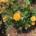 Debra Gault - Facebook