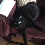 Debbie Gear - @debdgear - Instagram
