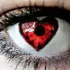 Debbie Gibbons - @debbie.gibbons8 - TikTok
