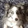 Debbie Gilchrist - @debbiegilchrist67 - TikTok
