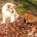 Debbie Gilchrist - Facebook