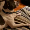 Debbie Gilchrist - @debbie.gilchrist - TikTok