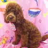 debbiegilchrist25 - @debbie.gilchrist8 - TikTok