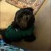 Debbie Gillespie - Facebook