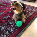 Debbie Gillespie - @debbiegillespie49 - Instagram