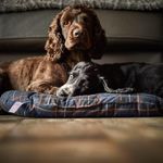 Debbie Gillespie - @debbie.gillespie.7921 - Instagram