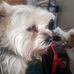 Debi Gillespie-Keller - Facebook