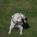 Debbie Glen - Facebook