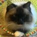 Debbie Goff - Facebook