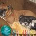 Debbie Goldsmith - Facebook
