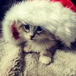 Debbie Gooch - @dgoochy - Instagram
