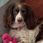 Debbie Gooch - Facebook