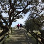 Debbie Greer - @debbie.greer.902 - Instagram