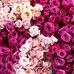 Debbie Greer - Facebook