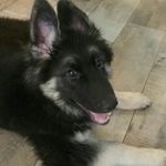 Debbie Greer - @dgreer1964 - Instagram