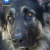 Debbie Greer - @debbie.greer84 - TikTok