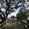 debbiegreer8 - @debbiegreer8 - TikTok