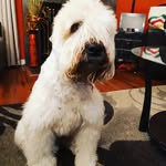 Debbie Gregoire - @dlgregoire999 - Instagram