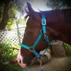 Debbie Grenier - @debbie.grenier5 - TikTok