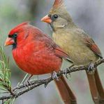 Debbie Jones Grimsley - Facebook