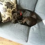Debbie Hadley Gardner - @debbie.h.gardner.50 - Instagram