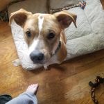 Debbie Hadley-Johnson - @debbiehadleyjohnson - Instagram