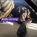 Debbie Hadley Prince - @debbiehadleyprince - Instagram