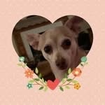 Debbie Halstead - @debhalstead1959 - Instagram