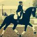 Debbie Halstead freelance equestrian - Facebook