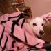 Debbie Ham - Facebook