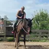 debbiemhamm - @debbiemhamm - TikTok