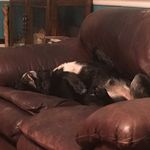 Debbie Hamby - @deb.hamb59 - Instagram
